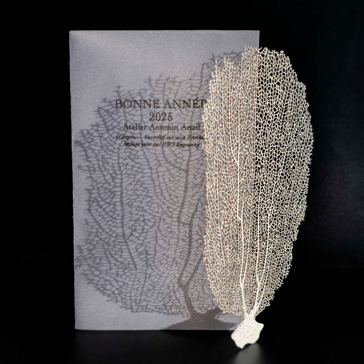 Gorgone découpé avec précision au laser sur papier vélin d’Arches, accompagné d’une carte de vœux souhaitant une belle année 2025. Une création artistique qui sublime la finesse du papier par le laser.