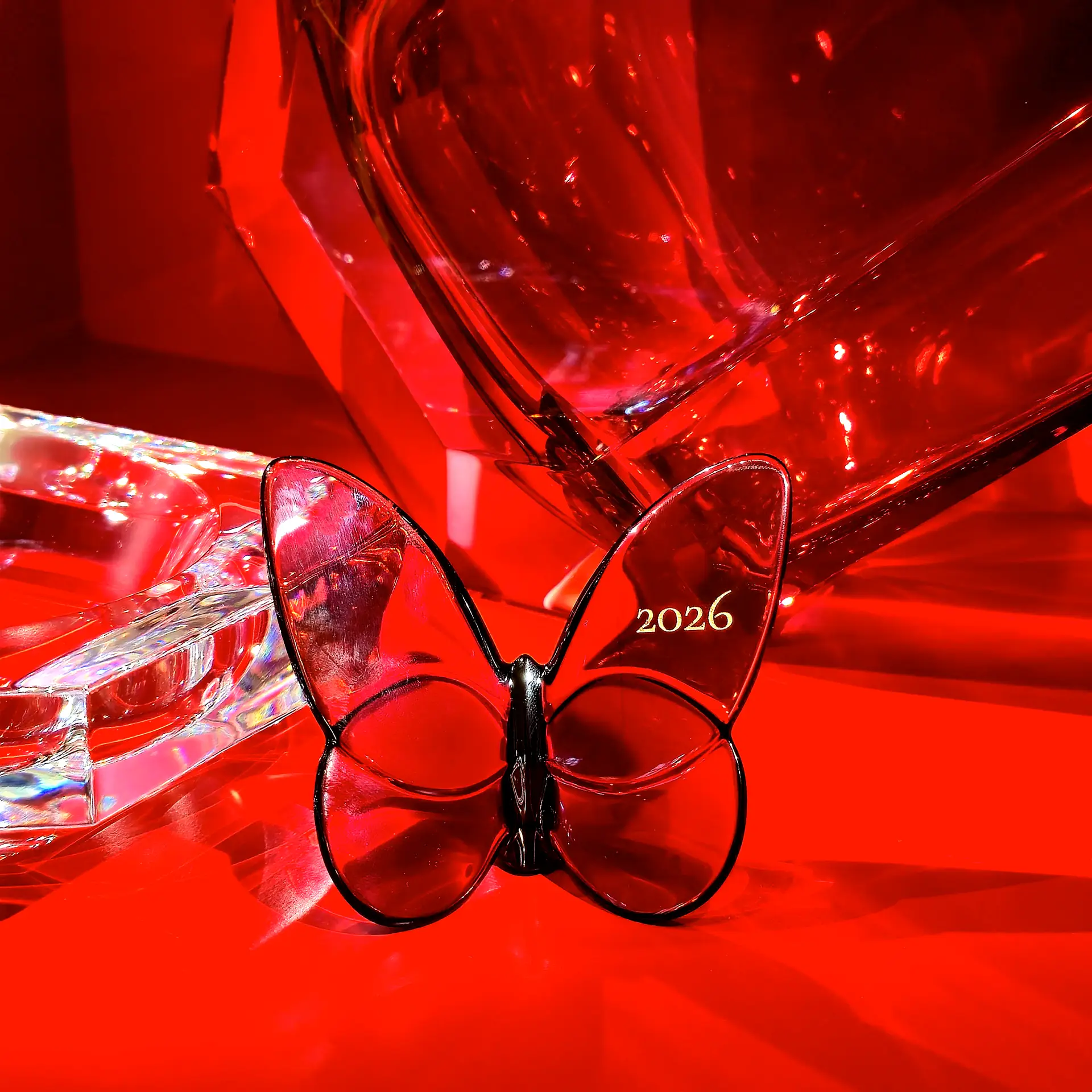 DWS_Baccarat Papillon_3_2025